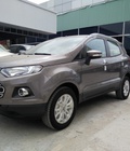 Hình ảnh: Ford Ecosport Titanium 2017 Chính Sách Giá Hot Nhất HCM‎