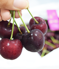 Hình ảnh: Cherry đỏ Mỹ tươi ngon đã về tại Klever Fruits