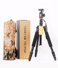 Hình ảnh: Chân máy ảnh tripod Beike Q999s