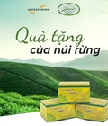 Hình ảnh: Lá nương hết lo bệnh Gút