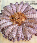 Hình ảnh: Cung cấp thịt tôm tít nguyên con và bóc nõn