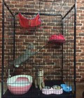 Hình ảnh: Hàng mới về chuồng mèo 3 tầng cỡ to