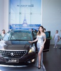 Hình ảnh: Peugeot 3008