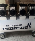 Hình ảnh: Máy nén khí, máy bơm hơi không dầu giảm âm Pegasus giá rẻ
