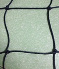 Hình ảnh: Lưới chắn sân bóng