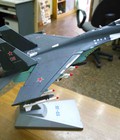 Hình ảnh: Mô hình máy bay chiến đấu Su35