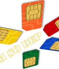 Hình ảnh: Sim cặp ba, bộ 03 sim tam hoa kép VIP cho 3 anh em