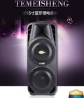 Hình ảnh: Loa Kéo Di Động Temeisheng A86 2 bass đôi 4 tấc