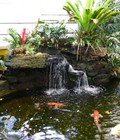 Hình ảnh: tiểu cảnh sân vườn kết hợp với bể cá koi.