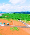 Hình ảnh: Chính thức mở bán đợt 2 dự án khu biệt thự cao cấp Pine Valley TP. Bảo Lộc, tỉnh Lâm Đồng