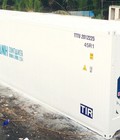 Hình ảnh: Container lạnh 10RF 20RF 30 RF