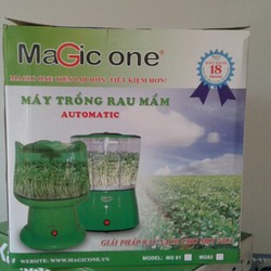 Máy trồng rau Magic MG-81