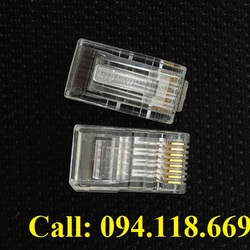 Hạt mạng RJ45 Cat5/Cat6 CommScope/AMP giá rẻ tại Hà Nội