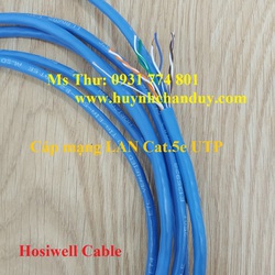 Cáp mạng Lan Cat5 SFTP chống nhiễu 2 lớp bằng màng và lưới