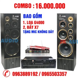 Bộ Dàn Karaoke gia đình Loa Weeworld G4000