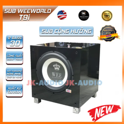 Loa Sub Cộng Hưởng Weeworld T9i