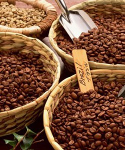 Chuyên sản xuất cafe Buôn Ma Thuột ngon chính hiệu, đảm bảo chất lượng