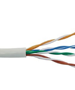 Báo giá đơn hàng cáp mạng cat5e, cat6e hàng chính hãng AMP