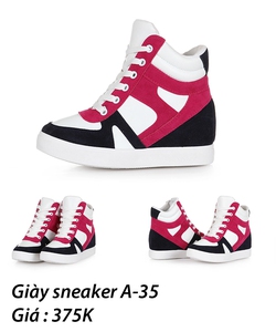 Giày Sneaker Giày boot