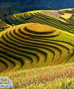 Mai Châu Bản Lác Mộc Châu Sơn La