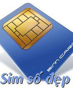 Sim 10 số vina và sim sinh viên 10 số