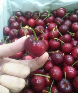 Cherry Mỹ size 9 Michi Mart R1 L1 Royal City và 10B ngõ 34A Trần Phú