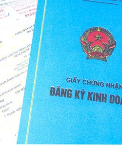 Dịch vụ làm giấy kinh doanh tại Bình Dương