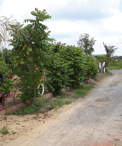 Bán đất vườn giá rẻ tại xã Bình Mỹ, huyện Củ Chi
