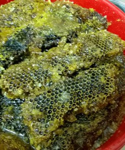 Mật ong nguyên chất 100% tại Đà Nẵng