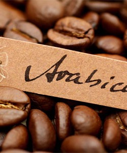 Cà phê Arabica đặc biệt cho vị đắng nhẹ thanh tao quý phái
