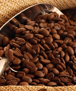 Cung cấp cà phê hạt rang nguyên chất trên Toàn quốc
