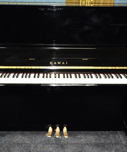 Bán Piano Kawai NS10
