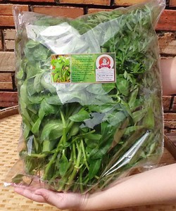 Rau Rừng Tây Ninh Giao hàng tận nơi tại TP HCM dù chỉ 1 Kg