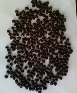 Bán cà phê robusta hạt nguyên chất 100% dòng chất lượng cao . Thích hợp cho pha máy