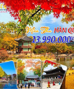 Tour Hàn Quốc giá tiết kiệm ngắm mùa thu lá đỏ Tặng Show Nghệ Thuật miễn phí