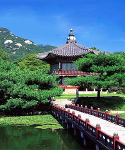 KHÁM PHÁ XỨ SỞ KIM CHI HÀN QUỐC Hà nội Seoul Đảo Cheju Công viên EverLand Đảo Nami