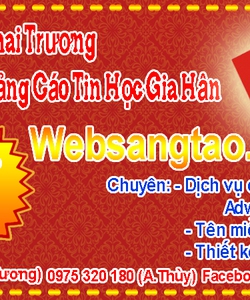 Mừng Xuân Đinh Dậu 2017 Tậu Web Đẳng Cấp 900K