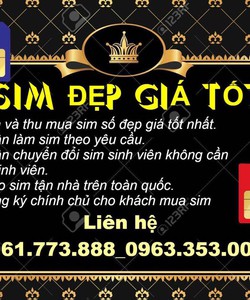 Bán Sim Số Đẹp Sim dễ nhớ Lộc phát Gánh đảo Soi gương...v...v...