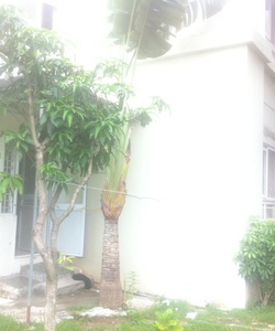 Bán Căn hộ tầng 1 nhà vườn 97m2 góc 2 mặt đẹp nhất CT18 Happy House ĐT Việt Hưng