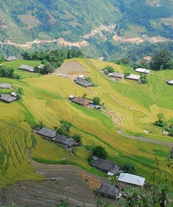 Tour ghép Hà Giang khởi hành thứ 6 hàng tuần