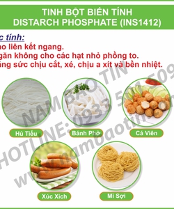 Tinh bột biến tính Distarch Phosphated INS1412