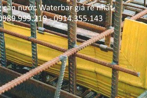 Băng cản nước PVC waterstop V200 giá tốt nhất