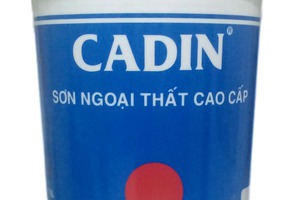 Sơn ngoại thất chống thấm , mờ Cadin