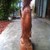 Tượng Gia cát khổng minh cao 60cm, gỗ hương gia lai