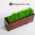 Vườn cỏ Mini - Mang không gian xanh đến căn phòng của bạn.