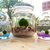 Marimo (Tảo cầu thủy sinh Nhật Bản)