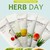 Sua-rua-mat-Herb-Day-365-Cleansing-Foam