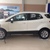 Tin đặc biệt : Giảm giá xe Ford Ecosport