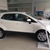 Tin đặc biệt : Giảm giá xe Ford Ecosport