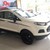 Ford Ecosport Black Edition thiết kế hoàn toàn mới, giá sốc, đủ màu